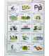 The Usborne Picture Dictionary in French Inside Page 2