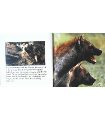 Hyena Family (Jane Goodall's Animal Series) Inside Page 1