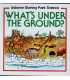 What's Under the Ground? (Usborne Starting Point Science)