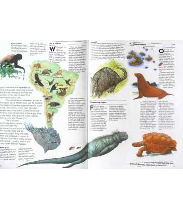 The Animal Atlas Inside Page 1