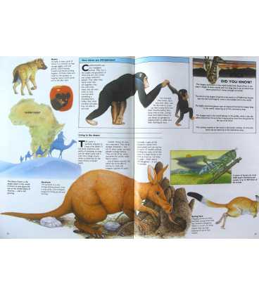 The Animal Atlas Inside Page 2