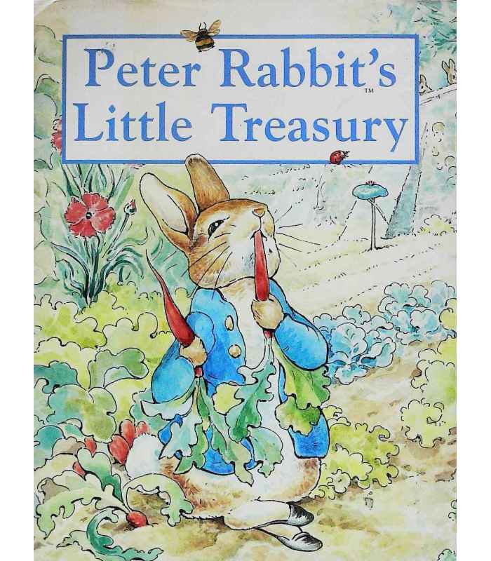 peter rabbit little library