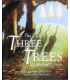 The Tale of Three Trees