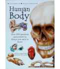 Human Body