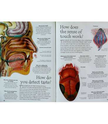 Human Body Inside Page 2