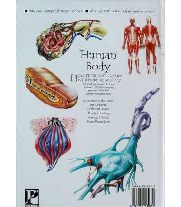 Human Body Back Cover