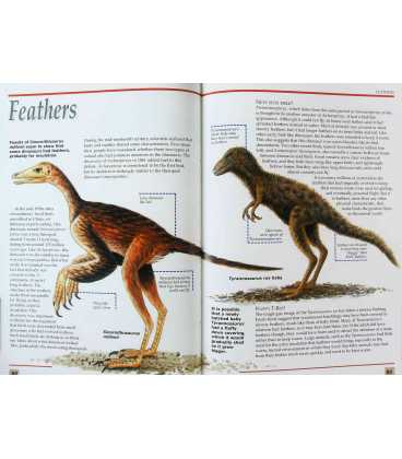 The Fabulous Dinosaur Factfile Inside Page 1