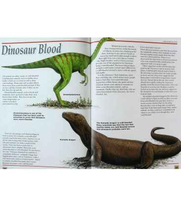 The Fabulous Dinosaur Factfile Inside Page 2