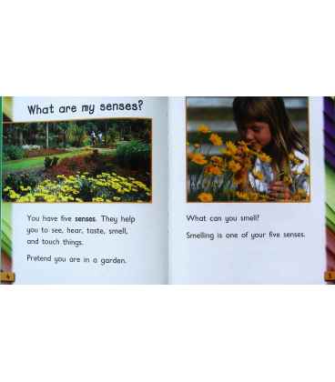 Smelling (Super Senses) Inside Page 2