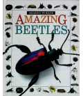Amazing Beetles