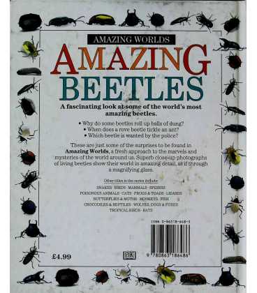 Amazing Beetles Back Cover