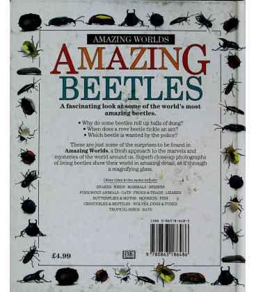 Amazing Beetles Back Cover