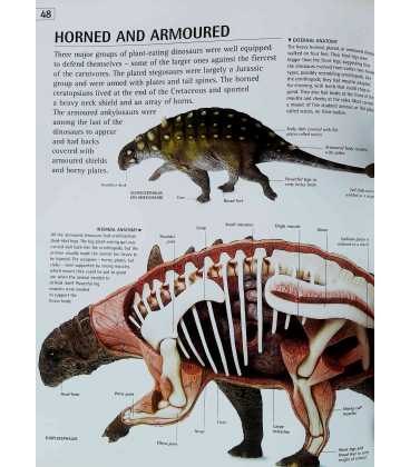 Dinosaurs (E. Explore) Inside Page 1