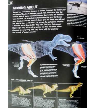 Dinosaurs (E. Explore) Inside Page 2