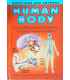 Human Body