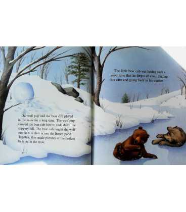 Little Bear's New Friend (Little Animal Adventures) Inside Page 2