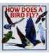 How Does a Bird Fly?