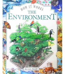 The Environment (How it Works)