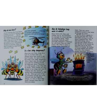 Questions Kids Ask About Insects and Spiders (Questions Kids Ask, 11) Inside Page 2
