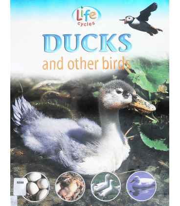 Ducks and Other Birds (Life Cycles)