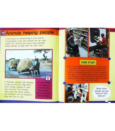 Working with Animals (Charities at Work) Inside Page 2