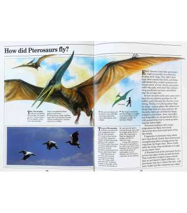 The BBC Book of Dinosaurs Inside Page 1