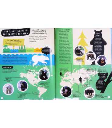 Ten Thousand, Eight Hundred and Twenty Endangered Species in the Animal Kingdom Inside Page 1