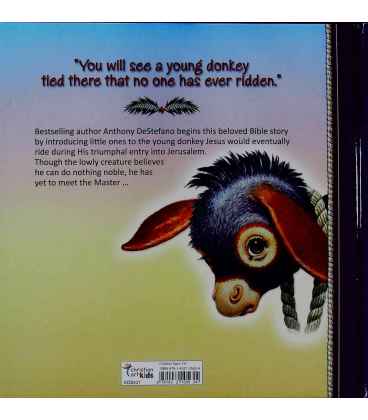 The Donkey That No One Could Ride Back Cover