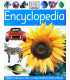 Encyclopedia (First Reference)