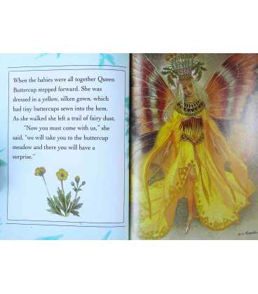 The Secret World of Fairies Inside Page 1