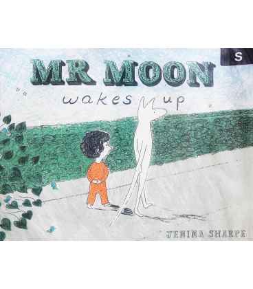 Mr Moon Wakes Up