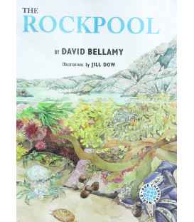 The Rockpool