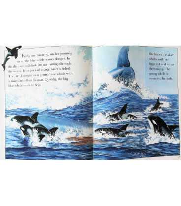 The Blue Whale Inside Page 1