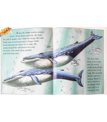 The Blue Whale Inside Page 2