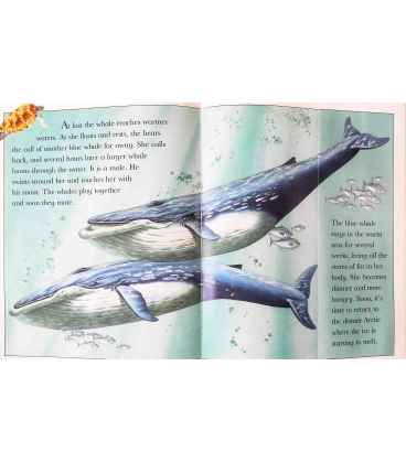 The Blue Whale Inside Page 2