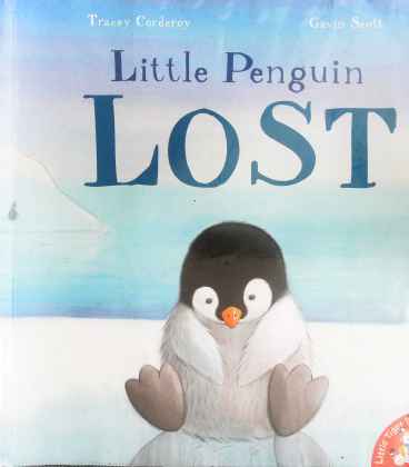 Little Penguin Lost