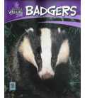 Badgers (British Wildlife)