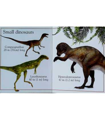 My First Dinosaur Board Book Inside Page 1