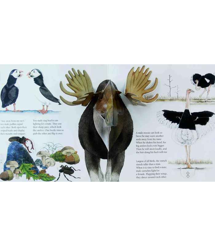 Animals Showing Off | National Geographic Society | 9780870447242 Animals Showing Off | National Geographic Society | 9780870447242
