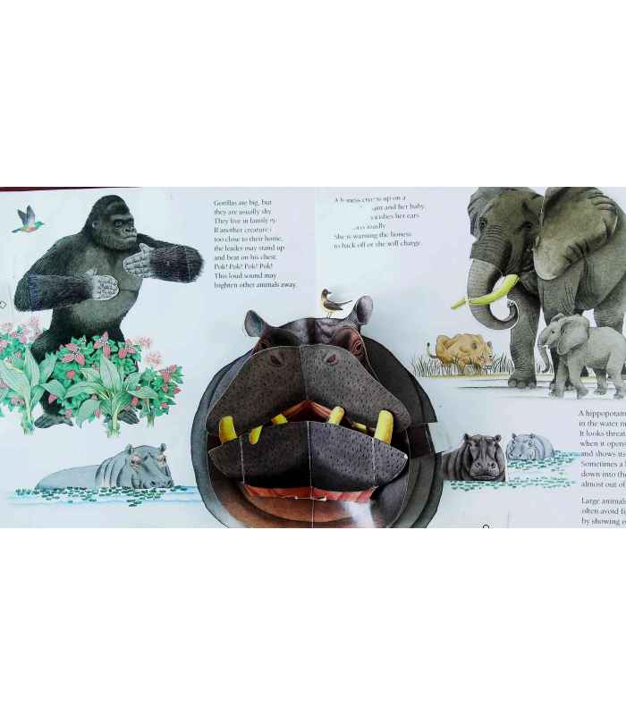 Animals Showing Off | National Geographic Society | 9780870447242 Animals Showing Off | National Geographic Society | 9780870447242