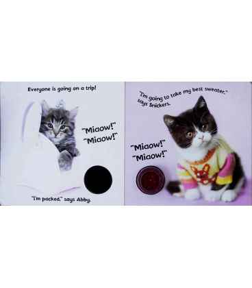 Miaow Miaow! Inside Page 2