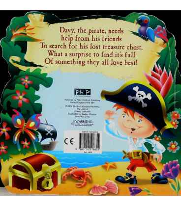 Pirate Treasure Back Cover