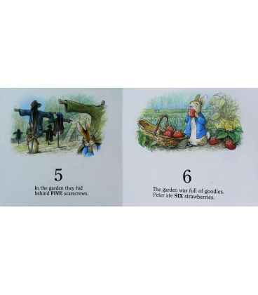 Peter Rabbit Inside Page 1