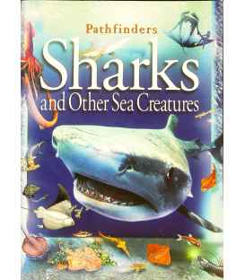 Sharks and Other Sea Creatures