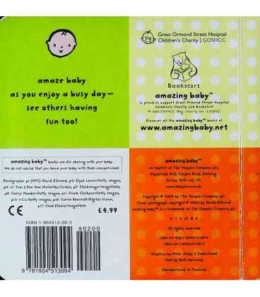 Baby's Day (Amazing Baby) Back Cover