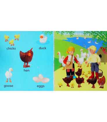 Farm (Look and Say Board Books) Inside Page 1