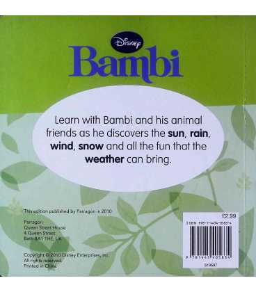 Rain and Shine (Bambi) Back Cover