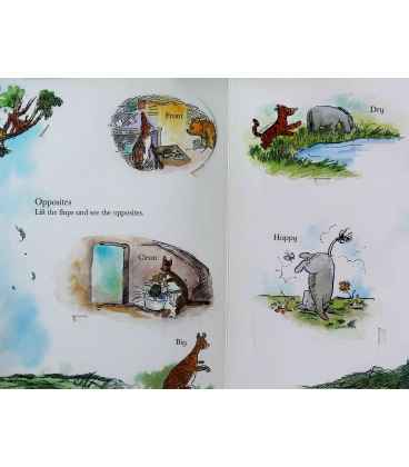 Winnie-the-Pooh's Giant Lift-the-flap Book Inside Page 1