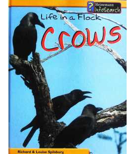 Life in a Flock - Crows