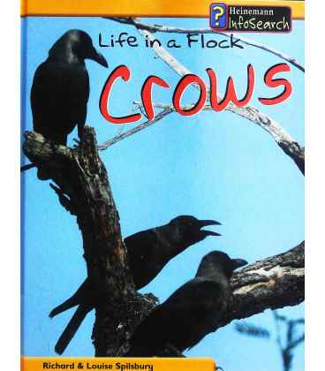 Life in a Flock - Crows